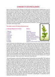 GYMNEME SYLVESTRE(GUDMAR)