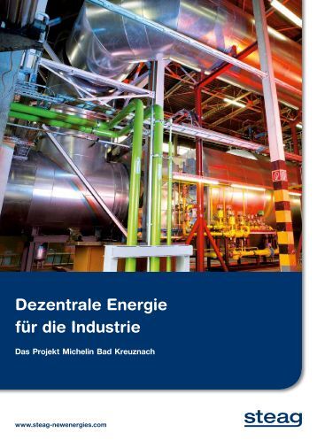 ebook strategisches