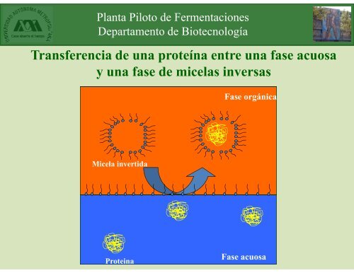 Extracción en etapas múltiples - Docencia UAM-I