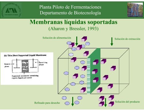 Extracción en etapas múltiples - Docencia UAM-I