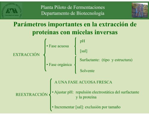 Extracción en etapas múltiples - Docencia UAM-I