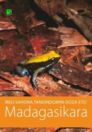 IREO SAHONA TANDINDOMIN-DOZA ETO - Franco Andreone