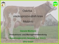 Oskrba visokoproizvodnih krav Molznic - KGZ Ptuj