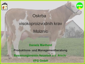 Oskrba visokoproizvodnih krav Molznic - KGZ Ptuj