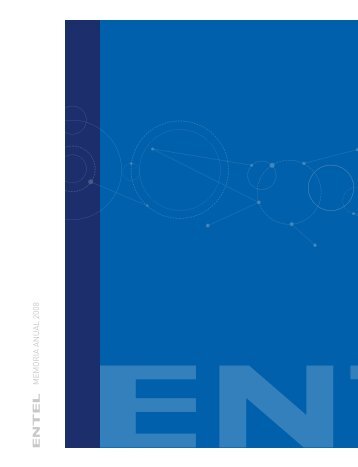 MEMORIA ANUAL 2008 - Entel