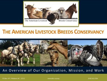 About ALBC Presentation with slides only - American Livestock ...