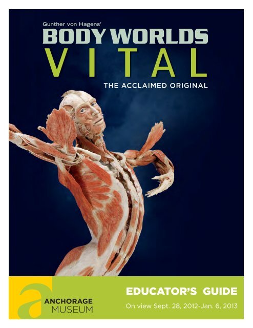 Body Worlds Vital Educator Guide - Anchorage Museum