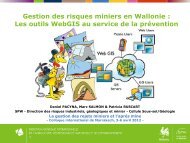 Gestion des risques miniers en Wallonie - Service gÃ©ologique de ...