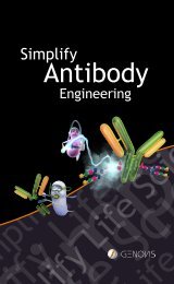 Antibody Tools Brochure - Bulldog Bio
