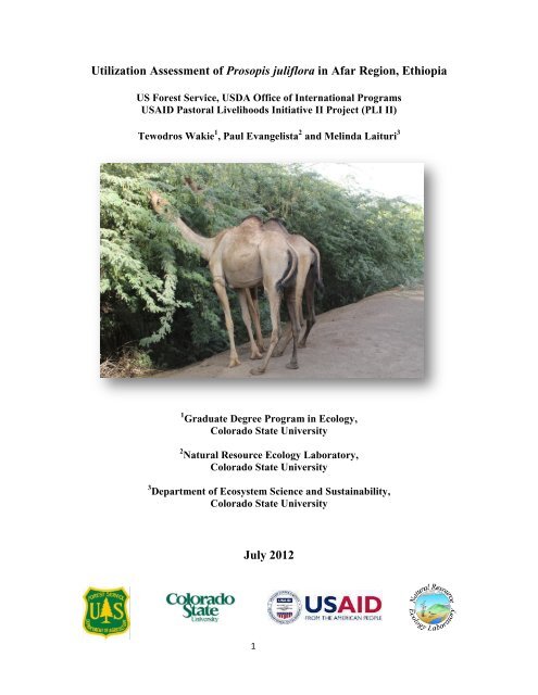 Utilization Assessment of Prosopis juliflora in Afar Region, Ethiopia ...