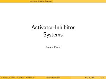 Activator-Inhibitor Systems