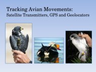 PTT GPS Geolocator Overview -- Hartman - Animal Migration ...