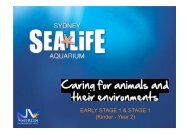 Caring for Animals and their Environments - Sydney Aquarium