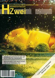 Januar 2011 - HZwei