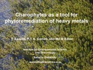 Calcification of charaEffect of calcium encrustation on hevay metal ...