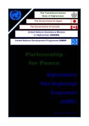 Afghanistan's New Beginnings Programme - CMI
