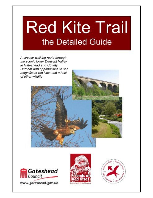 red kite 2 in 1 walker