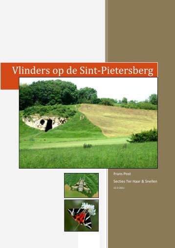 Vlinders op de Sint-Pietersberg door Frans Post - Vlindernet