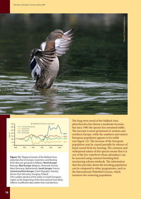 The State of Europe's Common Birds 2008 - European Bird Census ...