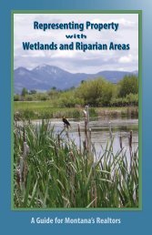 Representing Property Wetlands and Riparian Areas - Montana ...
