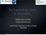 Stéphane Viollet - Institut des Systèmes Intelligents et de Robotique