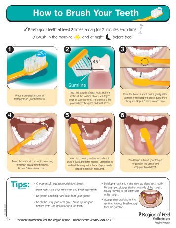 how to brush teeth sle lesson how to brush your teeth clark how to brush teeth sle lesson how to brush your teeth clark