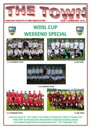 Arklow Town FC Newsletter