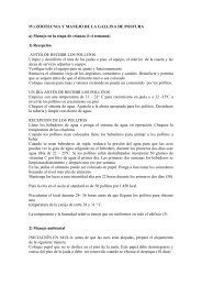 Zootecnia y manejo de la gallina de postura