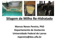 Silagem de Milho Reidratado.pdf - Grupo do Leite