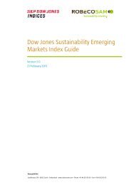 Dow Jones Sustainability Emerging Markets Index Guide - Spainsif