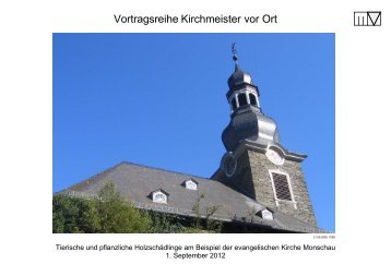 Vortrag Matthias Voigt, Sachverständiger für Pilz - Evangelischer ...