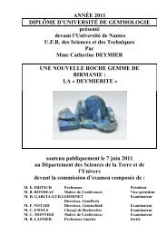 その他 fancy gray violet 0.036ct Ã‰TUDE DES DÃ‰FAUTS DANS LES DIAMANTS  - GemNantes