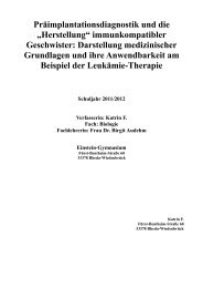 Facharbeit als PDF - Einstein-Gymnasium Rheda-WiedenbrÃ¼ck