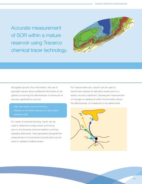 Reservoir Characterization - Tracerco