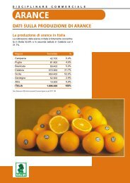 La produzione di arance in Italia - Salvi