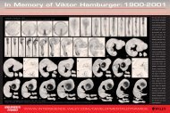 HAMBURGER POSTER