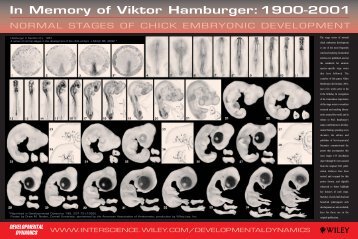 HAMBURGER POSTER