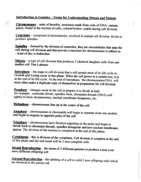 Genetic Terms (1 page).pdf - Mrs Stovel