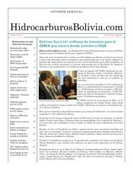descargar el informe en formato pdf - HidrocarburosBolivia.com