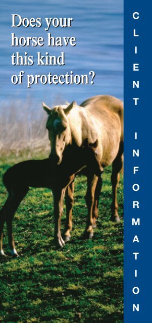 Equine Vaccination Brochure - Boehringer Ingelheim Vetmedica