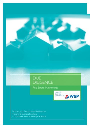 DUE DIlIgENCE - WSP Group