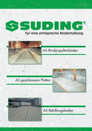 3 to Achslast - Suding Beton