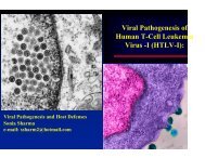 Viral Pathogenesis of Human T-Cell Leukemia Virus -I (HTLV-I):