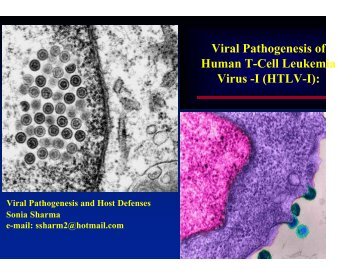 Viral Pathogenesis of Human T-Cell Leukemia Virus -I (HTLV-I):