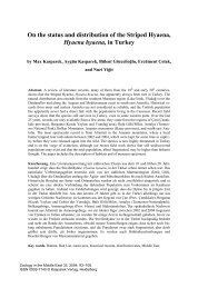 On the status and distribution of the Striped ... - Kasparek-Verlag