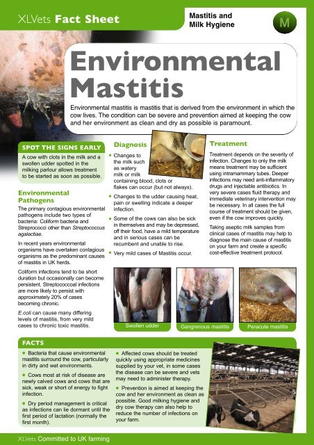 Environmental Mastitis (PDF) - Embryonics Ltd