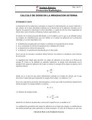 CÃ¡lculo Dosis IrradiaciÃ³n Externa - Instituto Balseiro