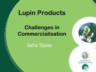 Lupin Products â Concepts and Reality - Lupins.org