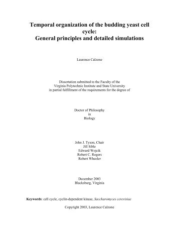 Temporal organization of the budding yeast cell ... - Virtual building 8