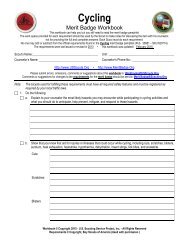 engineering merit badge worksheet answers